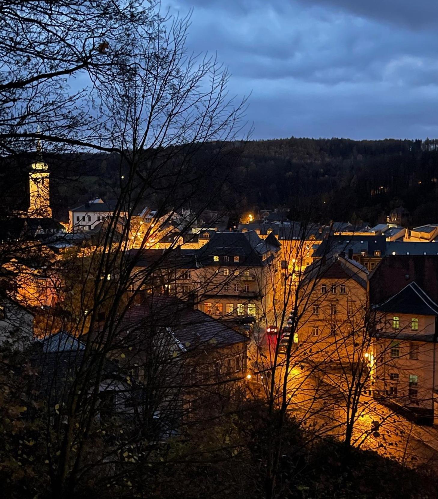 Brauhaus Suite 19 Sebnitz Exteriör bild